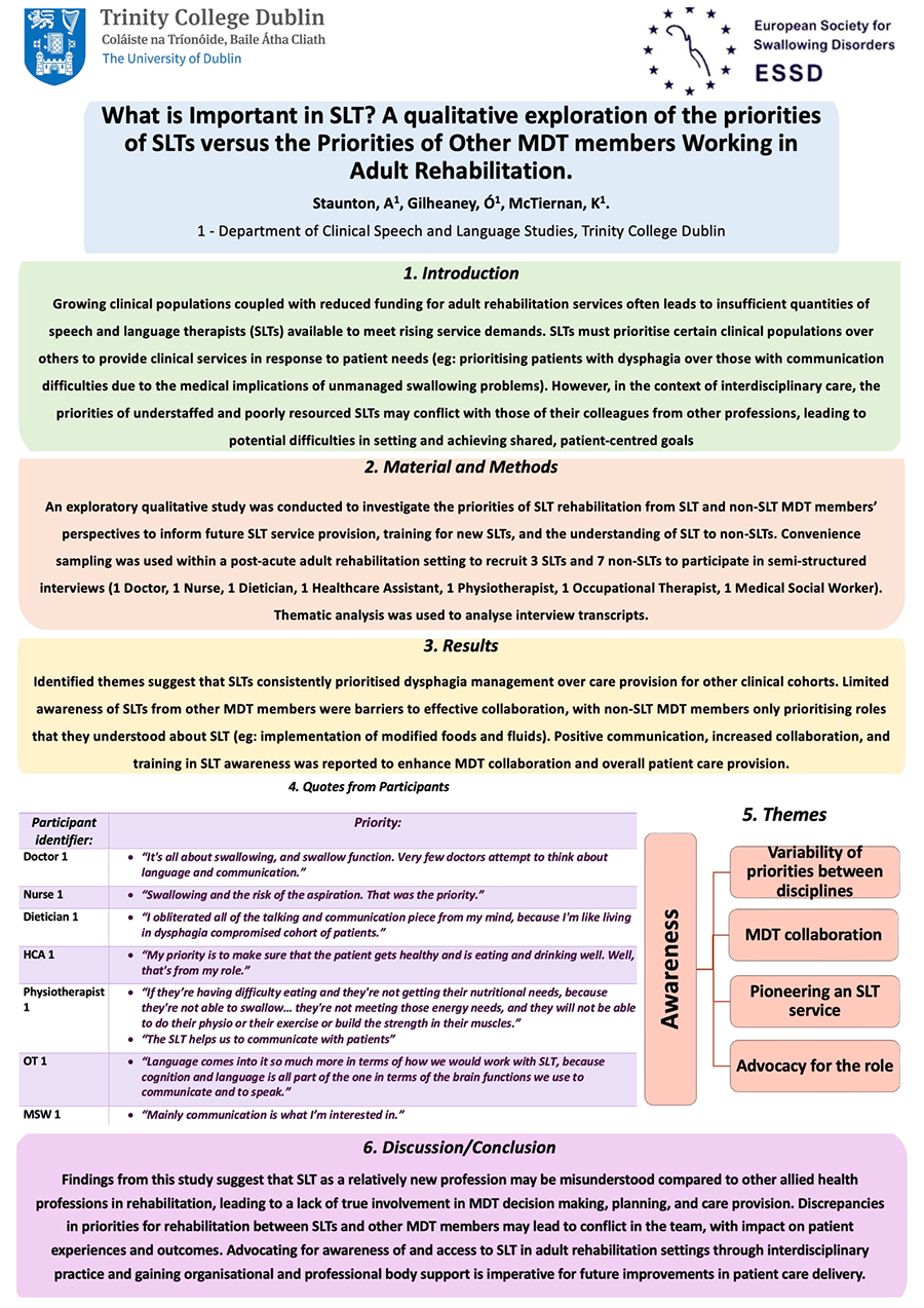 What is Important in SLT A qualitative exploration of the priorities of SLTs versus the Priorities of Other MDT members Working in Adult Rehabilitation